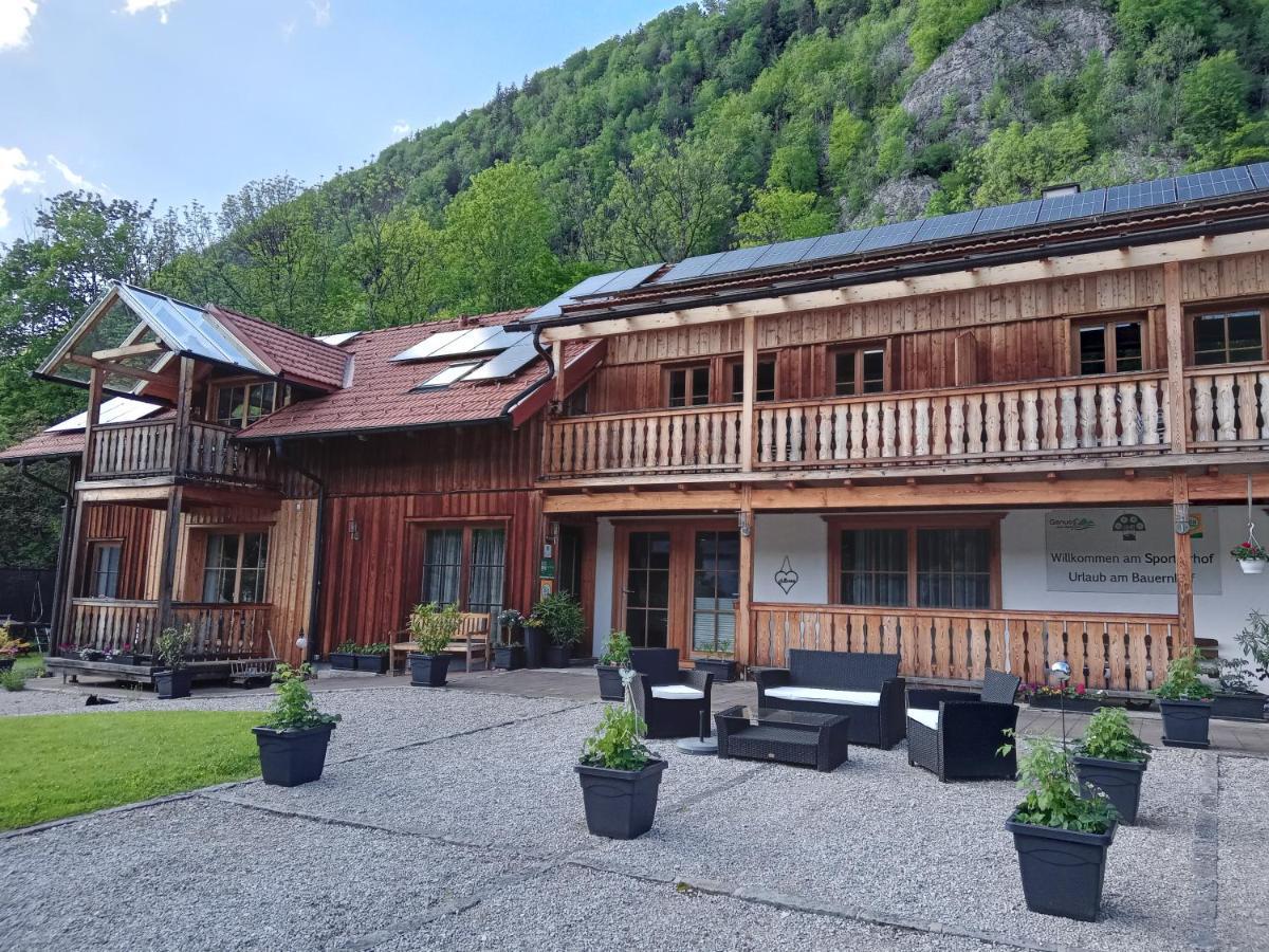 Sportlerhof - Alimann Uab Apartment Gruenau im Almtal